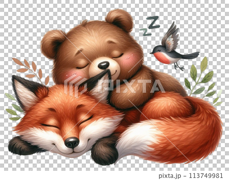 bear sleeps with the fox bear sleeps with the fox 113749981