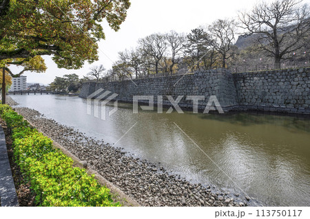 丸亀城（香川県）内堀 113750117