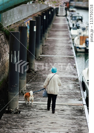 犬の散歩する患者 犬の散歩する患者 113750158