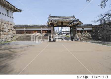 丸亀城（香川県）大手二の門 113750171