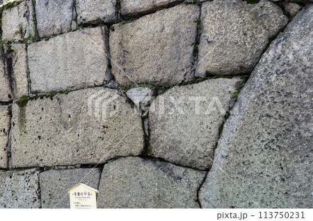 丸亀城（香川県）幸運の石 113750231