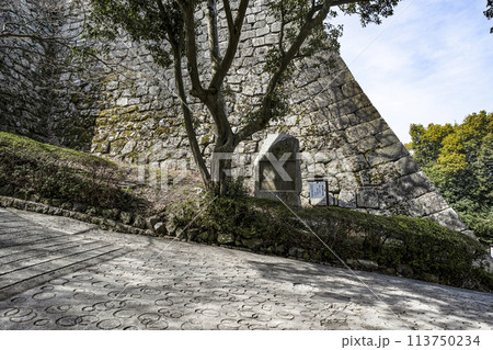丸亀城（香川県）三の丸北石垣と高濱虚子の句碑 113750234