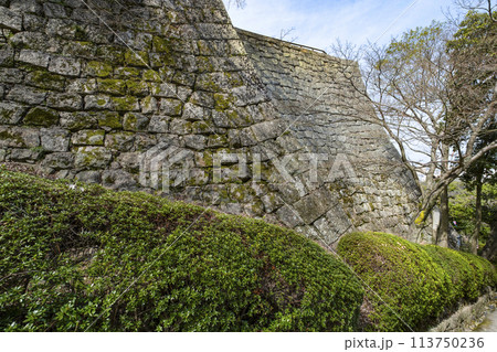丸亀城(香川県)石垣 丸亀城(香川県)石垣 113750236