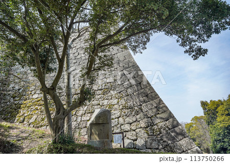 丸亀城(香川県)三の丸北石垣と高濱虚子の句碑 丸亀城(香川県)三の丸北石垣と高濱虚子の句碑 113750266