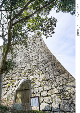 丸亀城（香川県）三の丸北石垣と高濱虚子の句碑 113750267