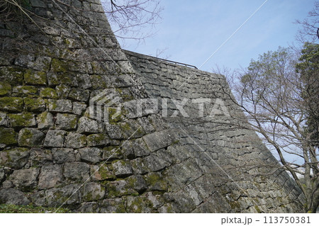 丸亀城(香川県)高石垣 丸亀城(香川県)高石垣 113750381