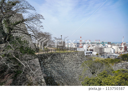 丸亀城(香川県)石垣 丸亀城(香川県)石垣 113750387