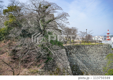 丸亀城（香川県）石垣 113750389