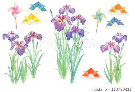 水彩絵の具で描いたこどもの日と菖蒲のイラスト 113750438