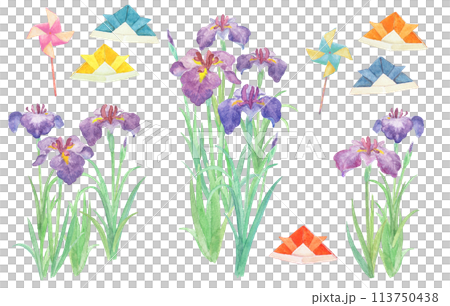 Children's Day and iris illustration drawn with watercolors Children's Day and iris illustration drawn with watercolors 113750438