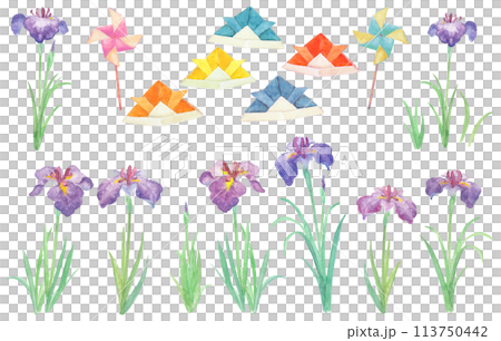 兒童節和水彩畫鳶尾花的插圖 113750442