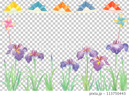 水彩絵の具で描いたこどもの日と菖蒲のイラスト 水彩絵の具で描いたこどもの日と菖蒲のイラスト 113750443