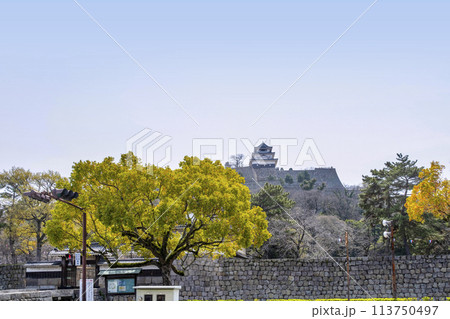 丸亀城（香川県） 113750497
