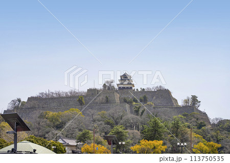 丸亀城（香川県） 113750535