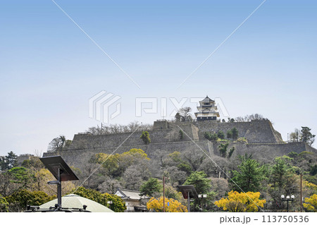 丸亀城（香川県） 113750536