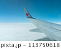 飛行機の窓から見える景色 113750618