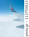 飛行機から見た空 113750623
