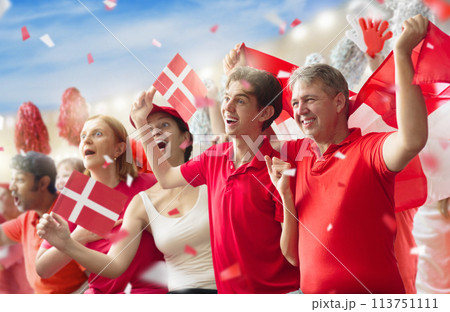 Denmark football team supporter on stadium. 113751111