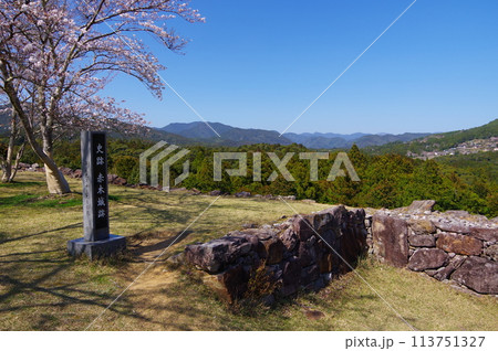 三重県熊野市紀和町にある、続日本100名城の1つである赤木城跡の春の風景 三重県熊野市紀和町にある、続日本100名城の1つである赤木城跡の春の風景 113751327