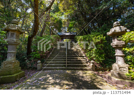 粟嶋神社　参道　鳥取県米子市彦名町 113751494