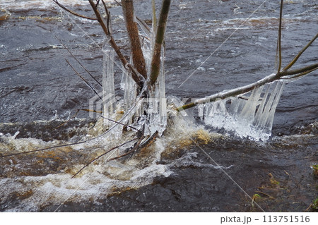 Ice is water in a solid state of aggregation. Ice icicles and stalactites on tree branches near the water. Spring flood. water forms crystals of one crystalline modification - the hexagonal system Ice is water in a solid state of aggregation. Ice icicles and stalactites on tree branches near the water. Spring flood. water forms crystals of one crystalline modification - the hexagonal system 113751516
