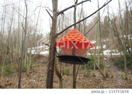 Hanging homemade feeder or platform for feeding birds and squirrels in winter and spring during hungry times. Feeders for birds and squirrels in a forest or city park. 113751638