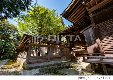 粟嶋神社 本殿 鳥取県米子市彦名町 粟嶋神社 本殿 鳥取県米子市彦名町 113751701