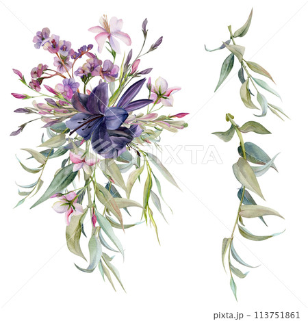 Hand drawn watercolor illustration botanical flowers leaves. Lily clivia amaryllis, bergenia heliotrope lungwort, pink lobelia jasmine, willow eucalyptus. Bouquet isolated white. Design wedding, cards 113751861