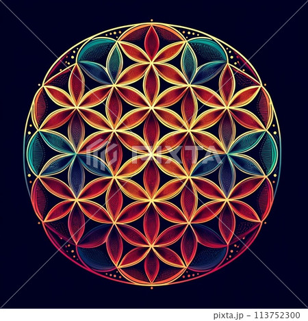 フラワーオブライフ フラワーオブライフ 113752300