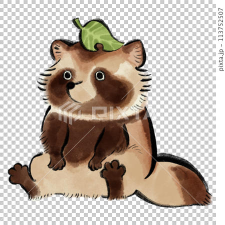 かわいいたぬきのイラスト 113752507