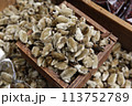 medicine, 113752789