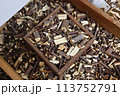 medicine, 113752791
