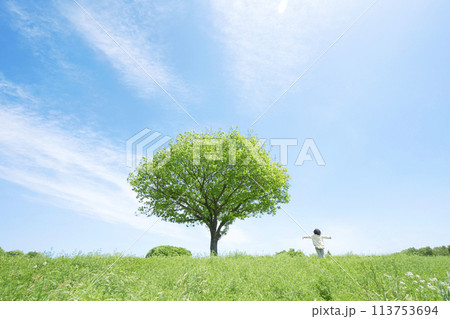 クリーンエネルギーイメージ 113753694