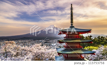 夕暮れ時の新倉山浅間公園　桜咲く展望台から望む富士山と忠霊塔【山梨県・富士吉田市】 113753758