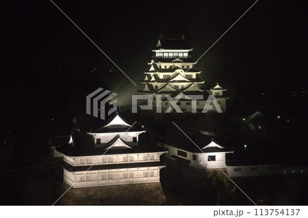 福山城のライトアップで光輝く 福山城のライトアップで光輝く 113754137