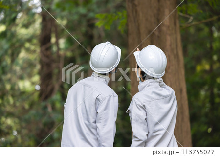 作業着を着て働くビジネスマン 113755027