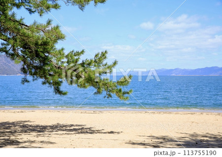 敦賀市、晴天の気比の松原 113755190