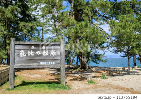 敦賀市、晴天の気比の松原 113755194