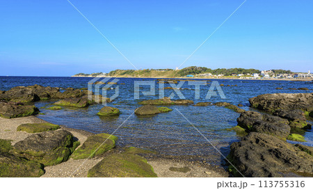 美しい海岸の風景 113755316