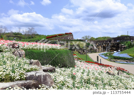 【香川県】秋の国営讃岐まんのう公園（昇竜の滝とチューリップ畑） 113755444