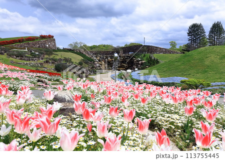 【香川県】秋の国営讃岐まんのう公園（昇竜の滝とチューリップ畑） 113755445
