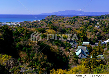 勝上けん展望台から望む建長寺と相模湾の青い海 113755547
