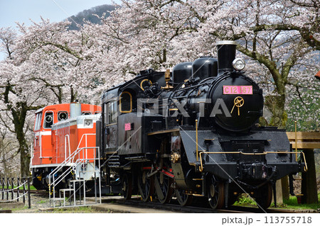 桜をバックに若桜鉄道のC12形蒸気機関車とDD16形ディーゼル機関車の