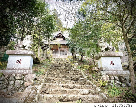 飯能 星宮神社の階段 飯能 星宮神社の階段 113755788
