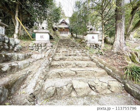 飯能 星宮神社の階段 飯能 星宮神社の階段 113755796