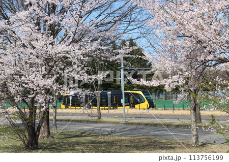 宇都宮LRT 113756199