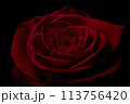 赤い薔薇 113756420