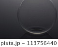 黒い背景に浮かぶシャボン玉 113756440