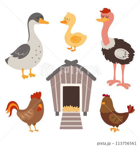 cute farm collection 113756561