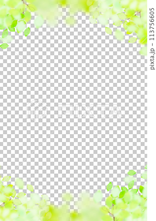 さわやかで透明感のある新緑のフレーム さわやかで透明感のある新緑のフレーム 113756605